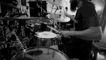 benighted drums