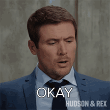 Okay Charlie Hudson GIF - Okay Charlie Hudson Hudson And Rex GIFs
