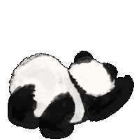 Bum Panda Sticker - Bum Panda Twerking Stickers