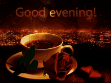 Good Evening Red Rose GIF - Good Evening Red Rose City Lights GIFs