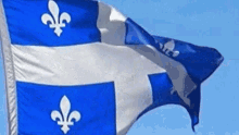 Québec Quebec GIF - Québec Quebec Quebec Flag GIFs