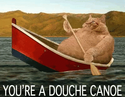 Youre A Douche Canoe GIF - Cat Youre A Douche Canoe Paddling GIFs
