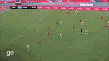 brasil arana