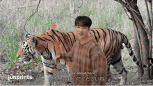 seventeen tiger