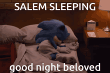 Salem Sleeping GIF - Salem Sleeping GIFs