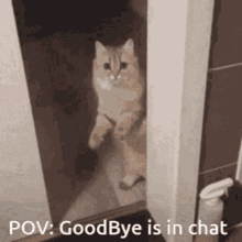 Stable Goodbye Is In Chat GIF - Stable Goodbye Is In Chat Scary Discord Mod GIFs