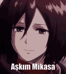 Mikasa Aşkım Mikasa GIF - Mikasa Aşkım Mikasa Aot GIFs