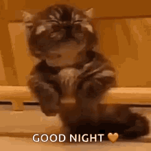 Sleep Cute GIF - Sleep Cute Cats GIFs