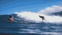 Surf Surfwil GIF - Surf Surfwil - Discover & Share GIFs