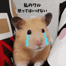 Crying Hamster GIF - Crying Hamster Sad GIFs