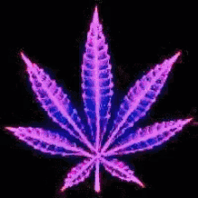weed marijuana smoking