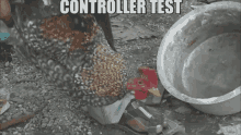 Controller Test Chicken GIF - Controller Test Chicken Kracc Bacc GIFs