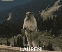 Lauren GIF - Lauren GIFs
