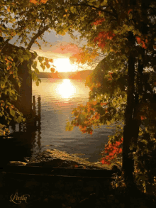 Sunshine Lake GIF - Sunshine Lake Tree GIFs