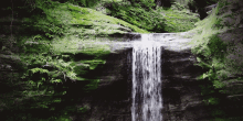 nature oc
