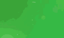 Green Party GIF - Green Party Green GIFs