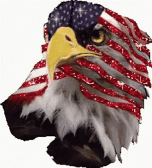 America Usa GIF - America Usa Eagle GIFs