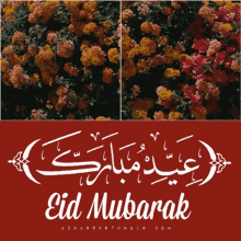 eid mubarak flowers azkar