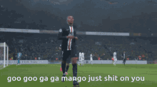 destoryed mangoezzzz