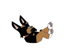 wildog bambi wildog knocked out wildog bambi wildog knocked out