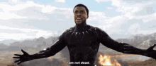 Black Panther Surprise GIF - Black Panther Surprise Chadwick Aaron Boseman GIFs