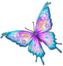 papillon butterfly flapping wings insect bug papillon butterfly flapping wings insect bug