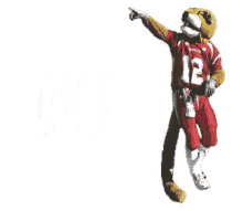 Cougs Cougars GIF - Cougs Cougars Go Cougs GIFs