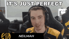 Its Just Perfect Neil Mah GIF - Its Just Perfect Neil Mah Smite GIFs
