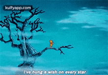 I'Ve Hung A Wish On Every Star.Gif GIF - I'Ve Hung A Wish On Every Star Nature Outdoors GIFs