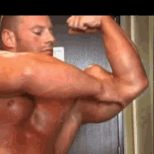 Bicep Biceps GIF - Bicep Biceps Huge GIFs