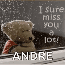 I Sure Miss You A Lot Andre GIF - I Sure Miss You A Lot Andre Bear GIFs