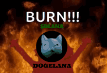 Dogelana Dlana GIF - Dogelana Dlana Burn GIFs