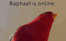yes