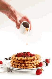Waffle Breakfast GIF - Waffle Breakfast GIFs