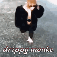 Black Opal Monkey Drippy Monkey GIF - Black Opal Monkey Drippy Monkey Crypto Gemology GIFs