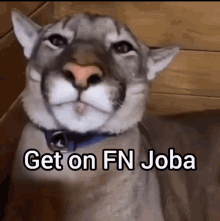 Joba Fortnite Cat GIF - Joba Fortnite Cat Smile Cat GIFs
