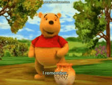 The Book Of Pooh I Remember GIF - The Book Of Pooh Pooh I Remember GIFs