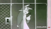 thumb fox fox pop pulgar la zorra tiene razon thumb fox fox pop pulgar la zorra tiene razon