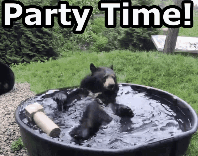Party Time Bath GIF - Party Time Bath Bear GIFs
