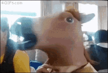 Horse Doge GIF - Horse Doge Shiba GIFs