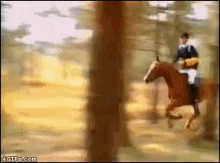 Horse Rodeo GIF - Horse Rodeo Funny Animals GIFs