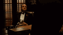 Godfather Horse Head Gif GIFs | Tenor