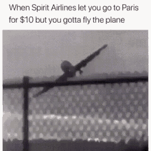 Spirit Airlines GIF - Spirit Airlines GIFs
