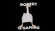 Robert Gaming GIF - Robert Gaming Goose GIFs