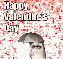 Happy Valentines Day Hearts GIF - Happy Valentines Day Hearts Nope GIFs