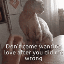 Dont Care Wanting Love GIF - Dont Care Wanting Love After You GIFs
