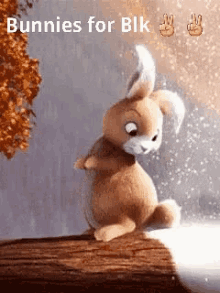 Bunny Rabbit GIF - Bunny Rabbit Winter GIFs