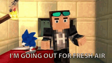 I Am Going Out For Fresh Air Sonic GIF - I Am Going Out For Fresh Air Sonic Take A Walk GIFs