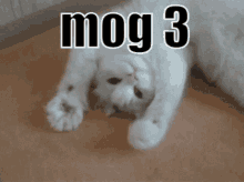 Mog Mog3 GIF - Mog Mog3 Rog GIFs