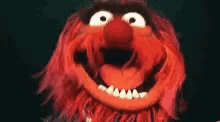 Muppets Laugh GIF - Muppets Laugh Animal GIFs